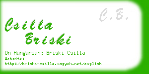 csilla briski business card